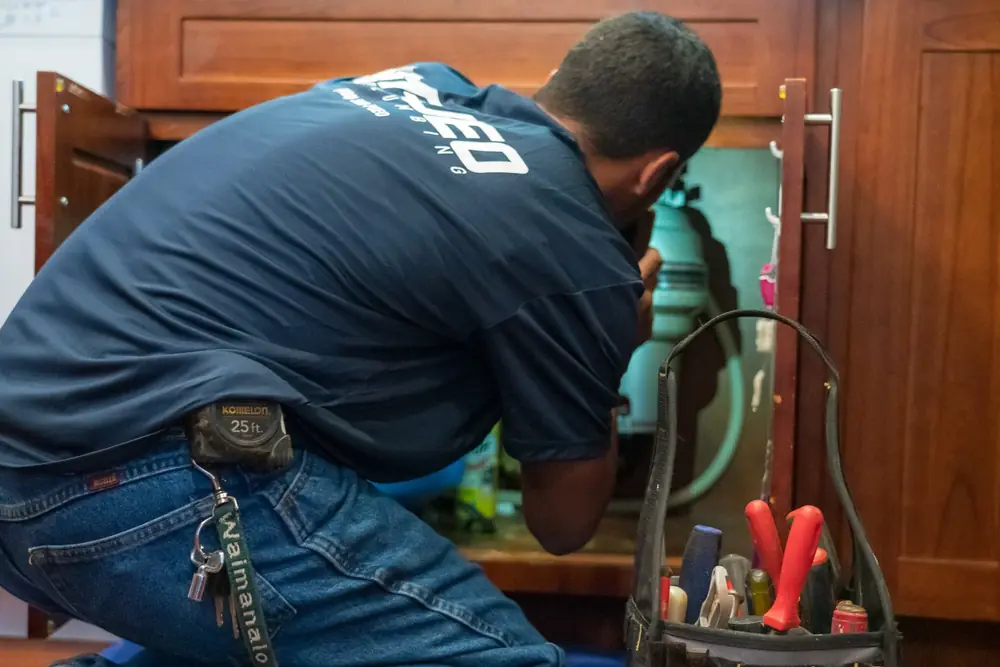 Pueo plumber checking the plumbing under a sink